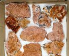 Lot - Pink and Orange Bladed Barite - Pieces #103747-2
